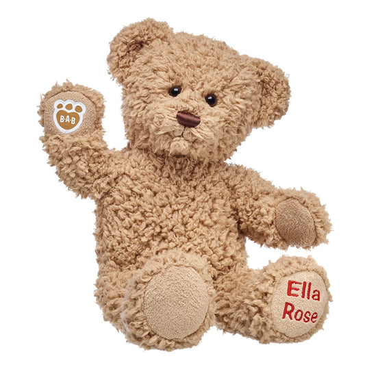Embroidered Teddy Bear | Online Exclusive Gift | Shop at Build-A-Bear® - US 6242