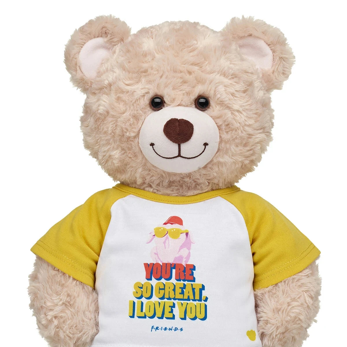 FRIENDS TV Show Turkey T-Shirt for Stuffed Animals | Build-A-Bear® - US 9366