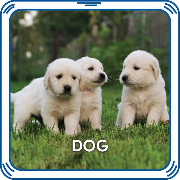 Puppy 5-in-1 Sound for Stuffed Animals | Build-A-Bear® - US 5201
