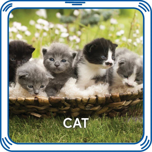 Kitty 5-in-1 Sound for Stuffed Animals | Build-A-Bear® - US 3309