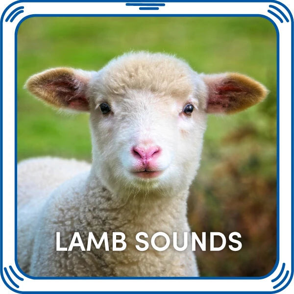 Lamb Sounds for Stuffed Animals | Build-A-Bear® - US 2385
