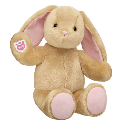 Pawlette™ Bunny Plush Bluey Dance Gift Set | Build-A-Bear® - US 1129