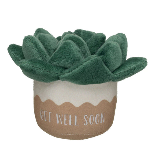 HB GET WELL PLANT - US 7721