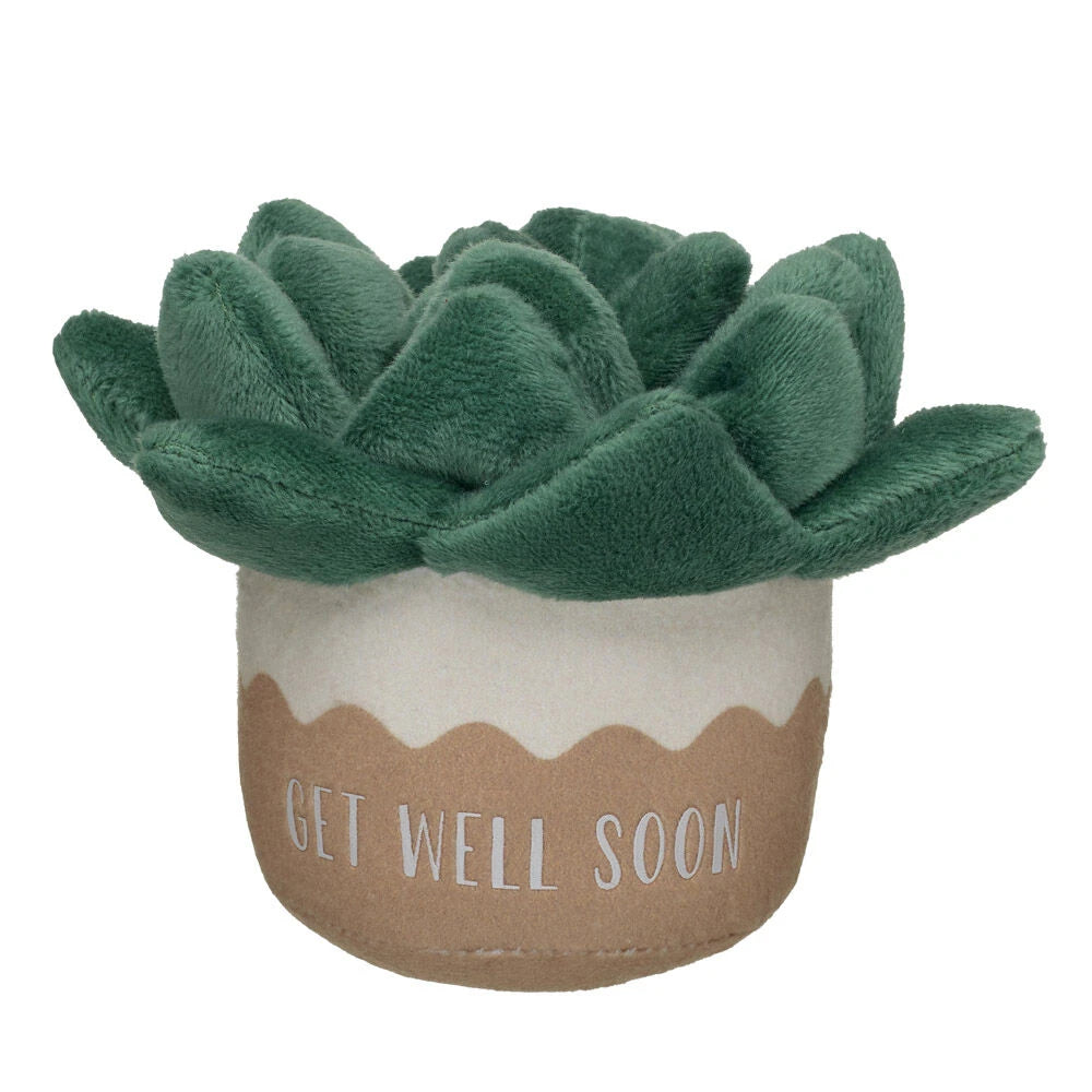 HB GET WELL PLANT - US 8718