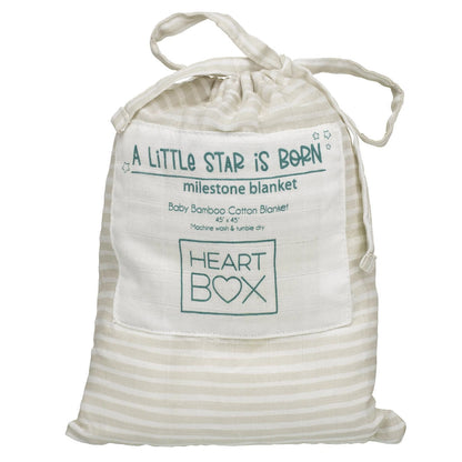 Monthly Milestone Baby Blanket | Build-A-Bear® - US 1803
