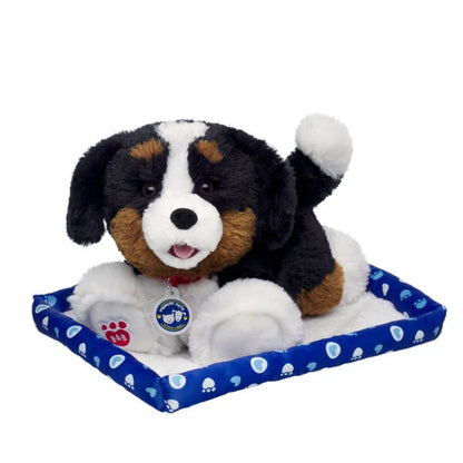 Promise Pets Bernese Mountain Dog Stuffed Animal w/ Blue Bed | Build-A-Bear - US 8590