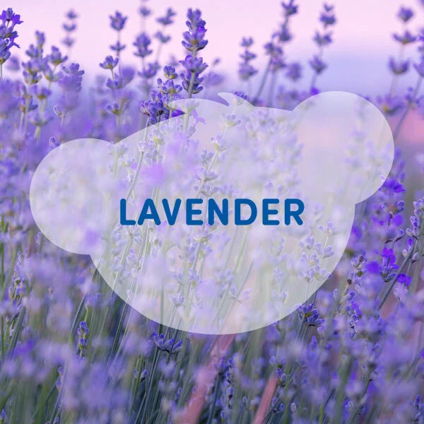 SCENTiments™ Lavender Scent for Stuffed Animals | Build-A-Bear® - US 7646