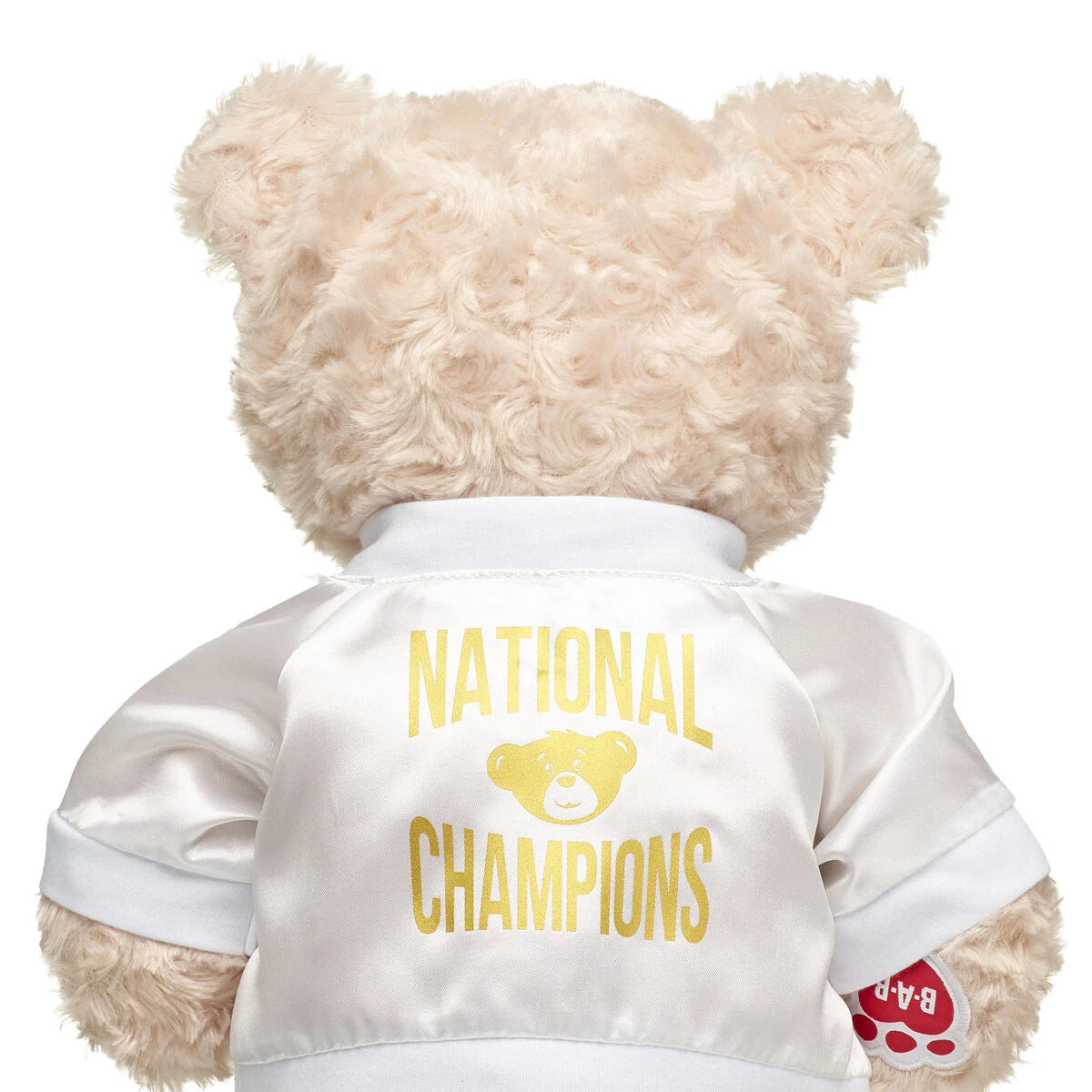Varsity Spirit National Champions Jacket | Build-A-Bear® - US 5462