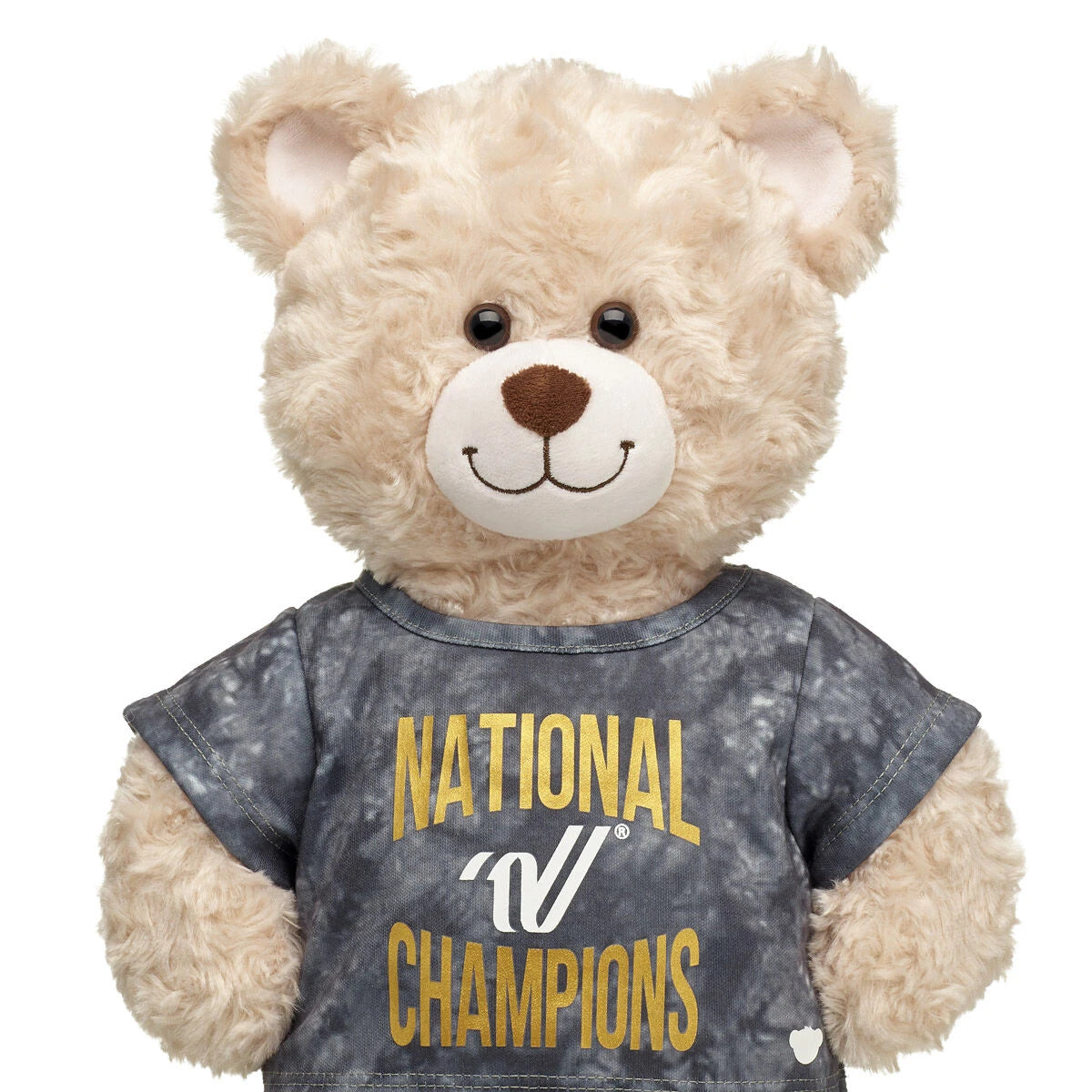 Varsity Spirit National Champions T-Shirt | Build-A-Bear® - US 2474
