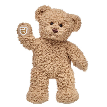 Timeless Teddy Bear | Build-A-Bear® - US 1352