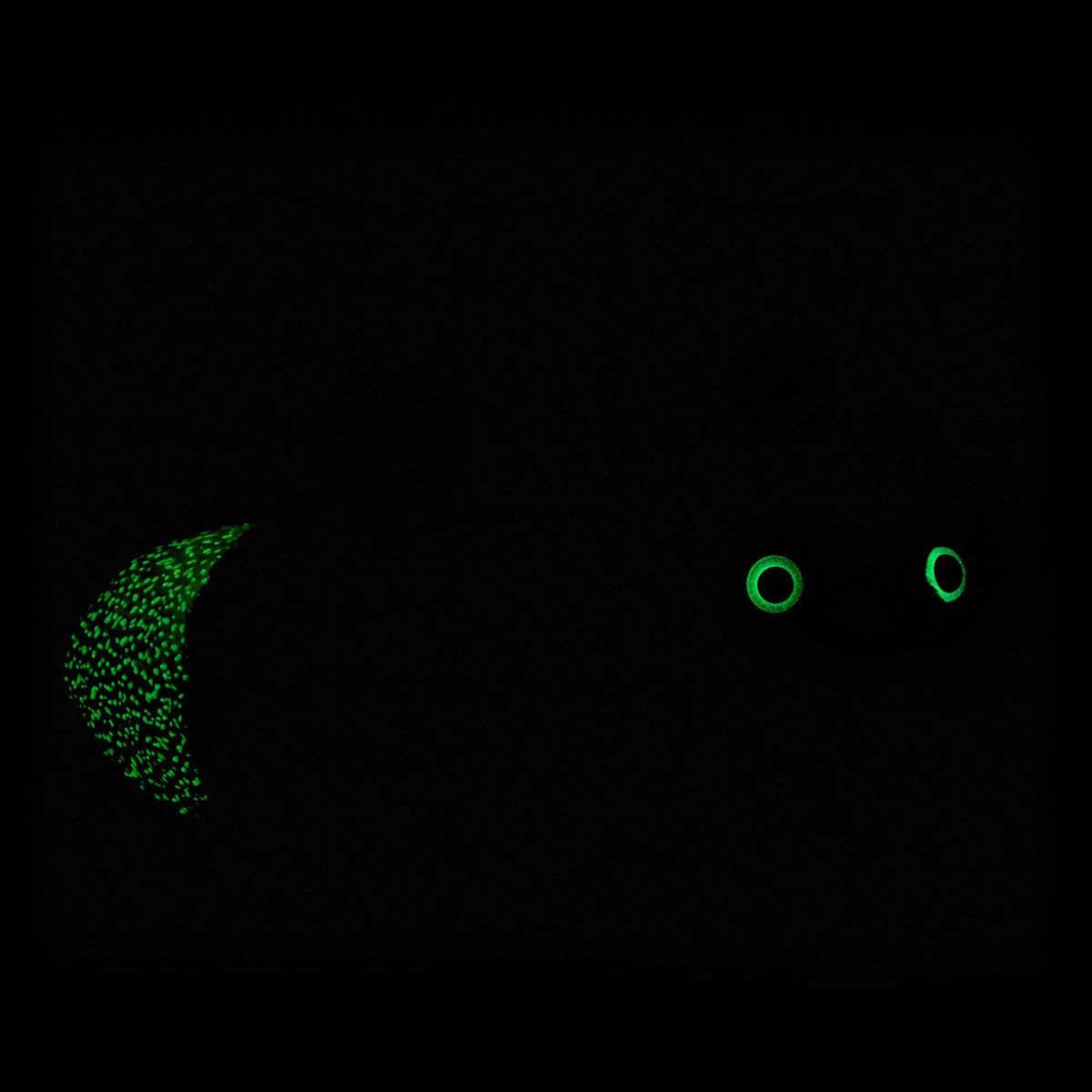 Glow-in-the-Dark Lightning Bug Stuffed Animal | BAB - US 3922