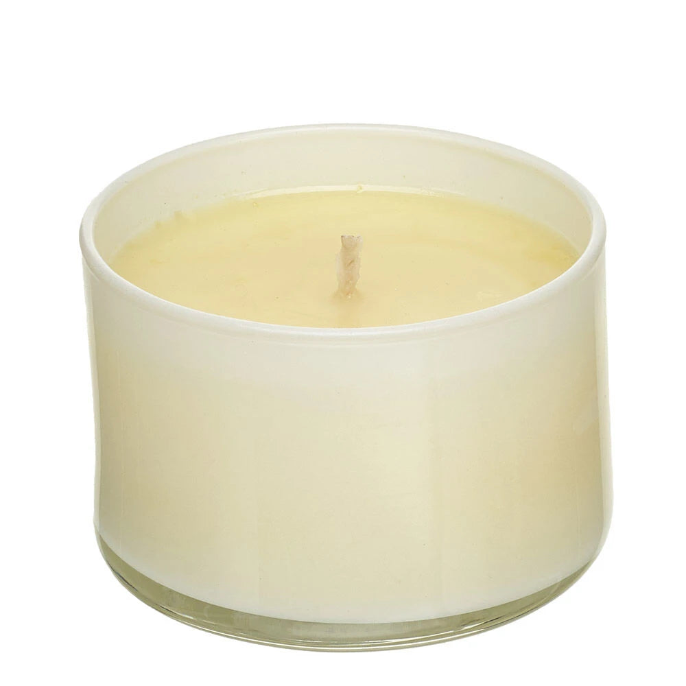 Trapp Signature Home Collection—No. 25 Lavender de Provence Scented Candle | Build-A-Bear® - US 8656