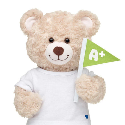 A+ Flag Wristie for Stuffed Animals | Build-A-Bear® - US 2402