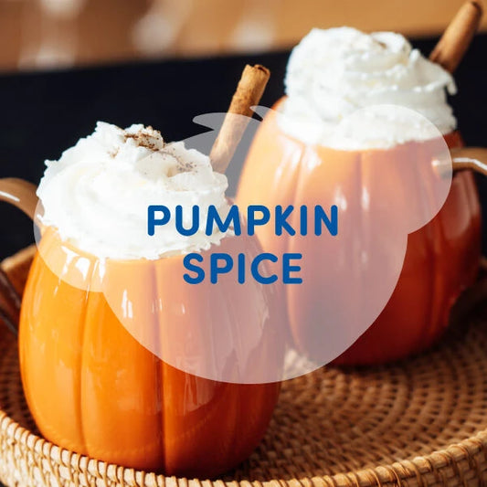 Pumpkin Spice Scent for Stuffed Toys | SCENTiments™ Build-A-Bear® - US 2705