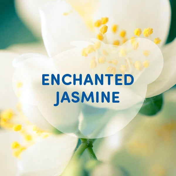 Enchanted Jasmine Scent - US 4538