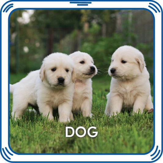 Puppy 5-in-1 Sound for Stuffed Animals | Build-A-Bear® - US 6193