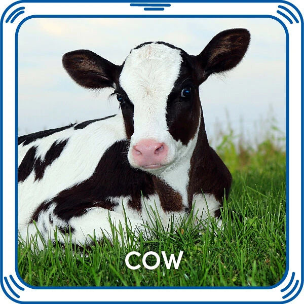 Cow Sound for Stuffed Animals | Build-A-Bear® - US 2792