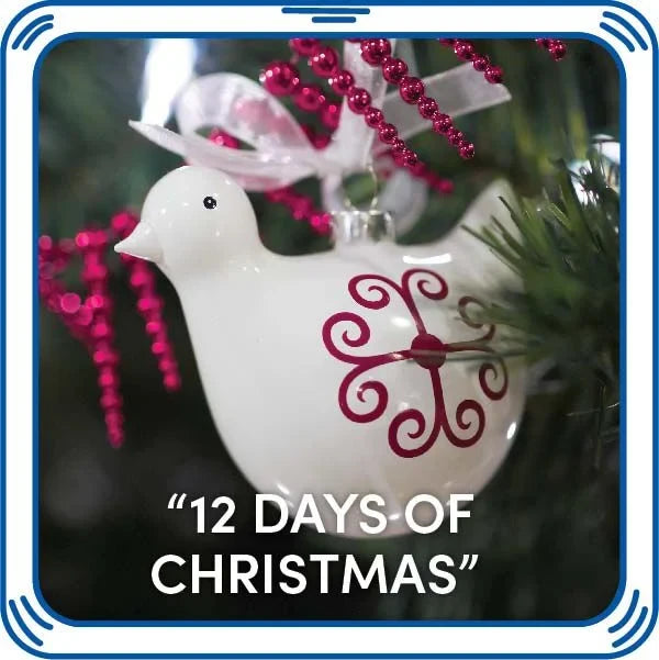 12 Days of Christmas Sound for Stuffed Animals | Build-A-Bear® - US 5652