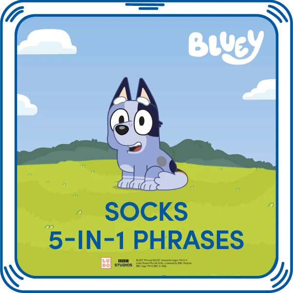 Socks 5-in-1 Phrases | Build-A-Bear - US 8980